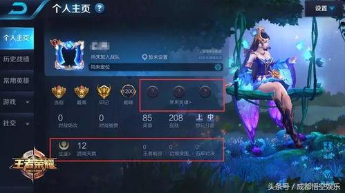 王者2.9最新爆料,神秘英雄登场，战局再起风云