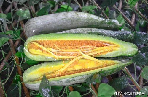 17网红吃瓜爆料,揭秘娱乐圈背后的惊人真相 第3张 17网红吃瓜爆料,揭秘娱乐圈背后的惊人真相 第3张