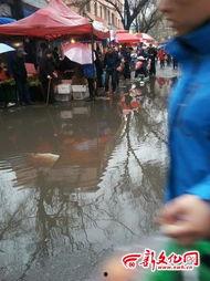 吉林早市最新爆料,探寻地道美食与民间风情  第2张